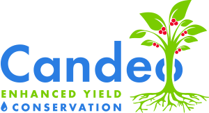 Candeo logo